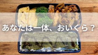 手作り弁当1食の値段をガチで検証してみる